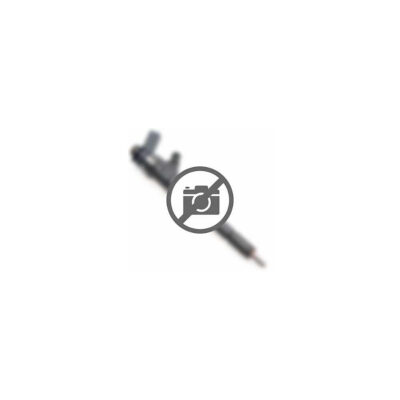Inyector Bosch 0445 110 584 - Hyundai Santa Fe / Kia Sorento