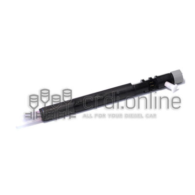 Inyector Delphi EJBR04701D - Ssangyong Actyon