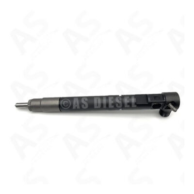 Inyector Delphi EMBR00301D - Ssangyong Korando